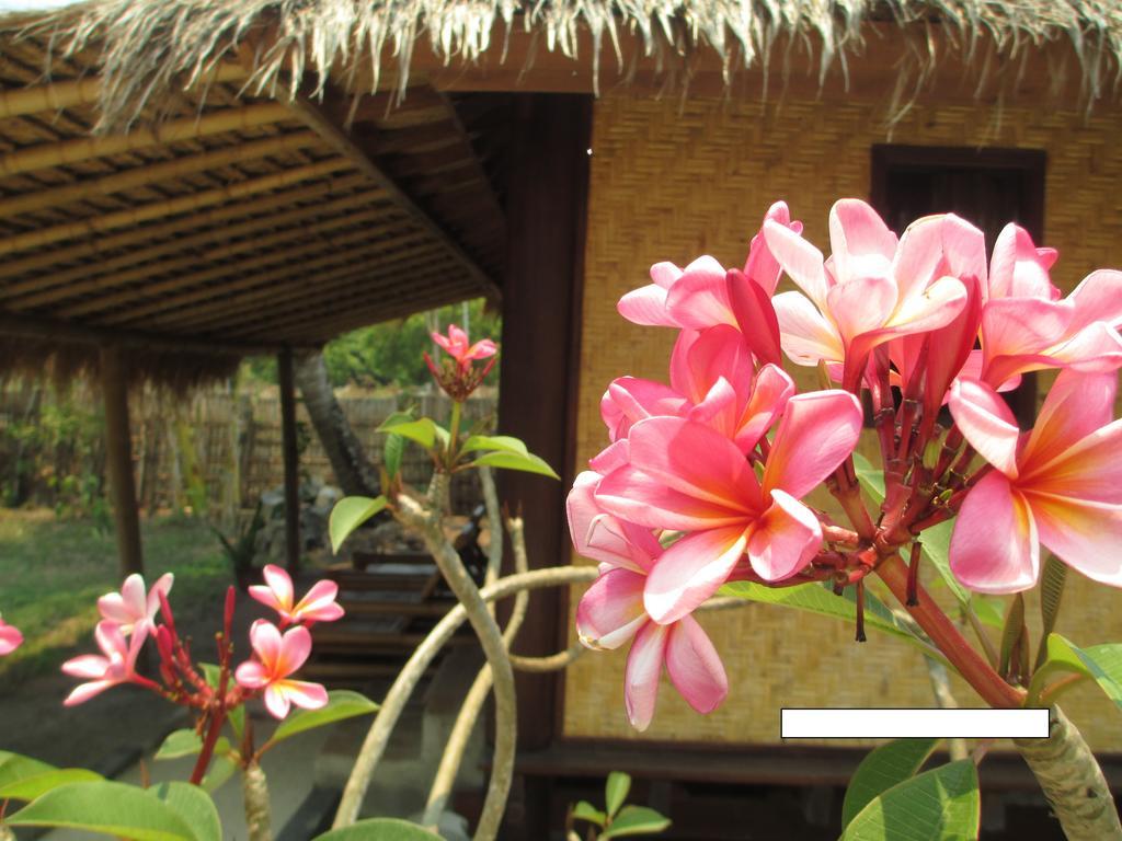 Selong Belanak Bungalows Exterior photo